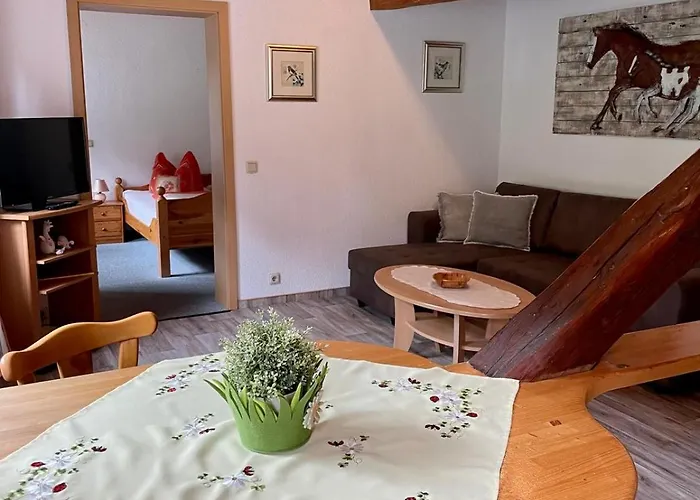 索嫩斯泰恩卡斯奇公寓 * Sonnenstein