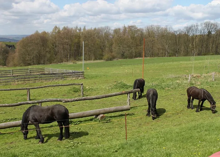Kutschergasthof Am Sonnenstein